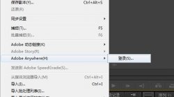 PR中的Anywhere的讲解和作用