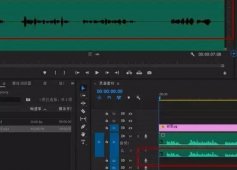 PR中单声道如何变双声道
